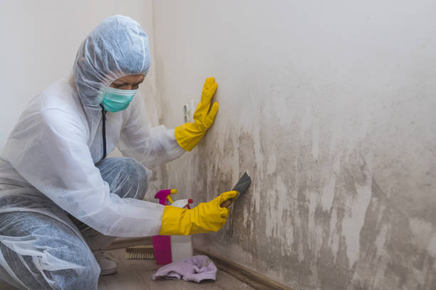 Mold Remediation for Rental Properties in Newport, KY